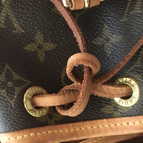 Mini montsourris - Picture 8 of 10